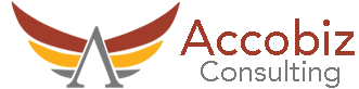 Accobiz Consultin - Professional Advisory Services Firm